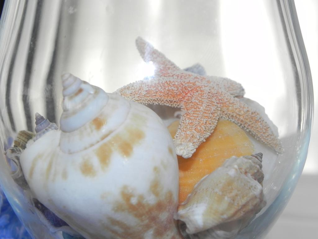 Arizona 3* Lido di Jesolo